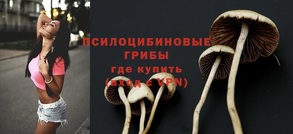прущие крисы Белокуриха