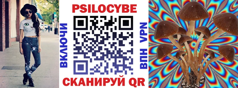Купить где  Гудермес  Псилоцибиновые грибы прущие грибы 
