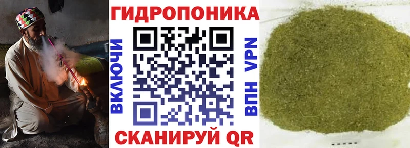Шишки марихуана White Widow  Купить закладки  Гудермес 